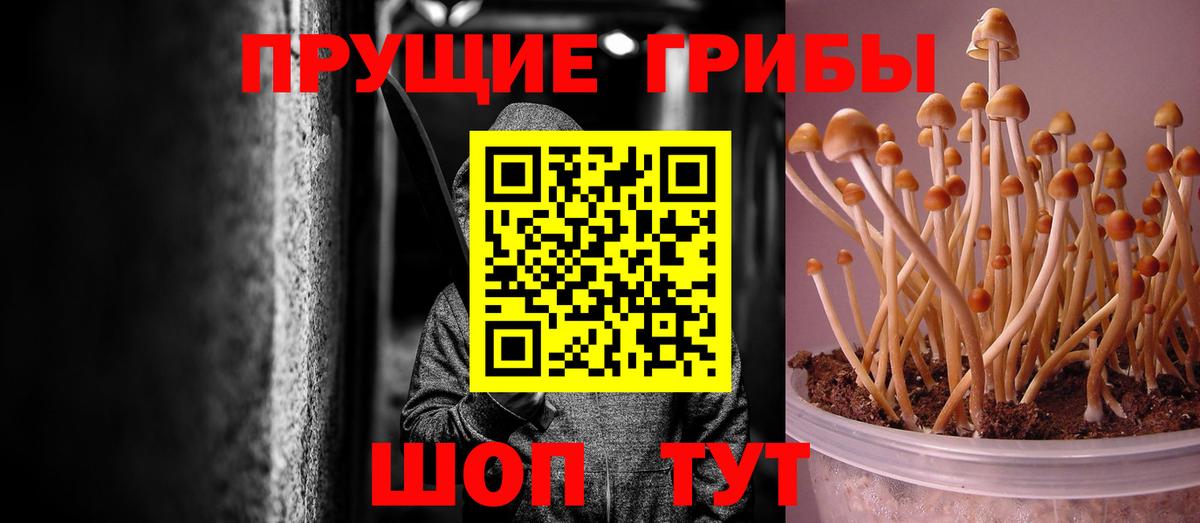 Галлюциногенные грибы Magic Shrooms  наркошоп  Владимир  Вход с VPN 